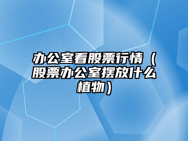 辦公室看股票行情（股票辦公室擺放什么植物）