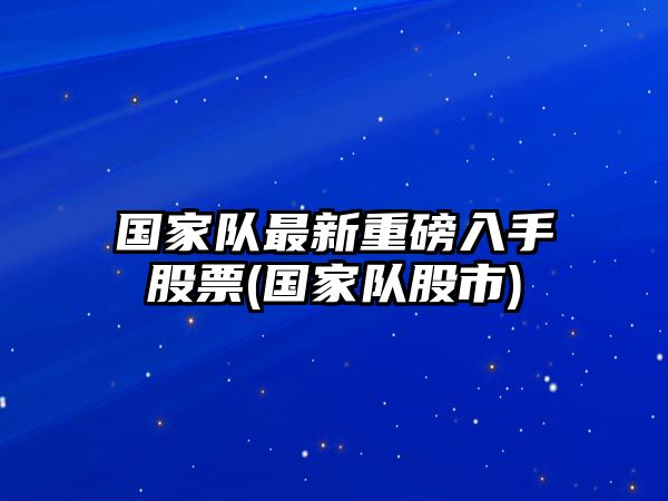 國家隊最新重磅入手股票(國家隊股市)