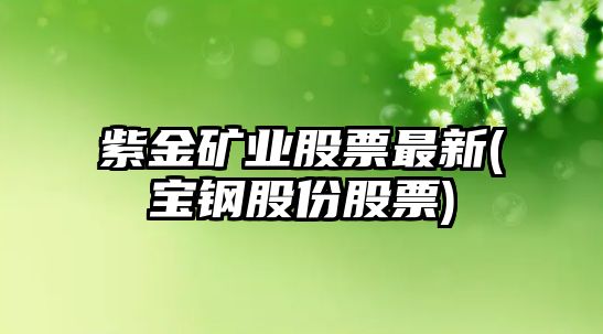 紫金礦業(yè)股票最新(寶鋼股份股票)