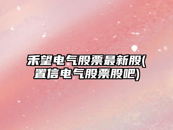 禾望電氣股票最新股(置信電氣股票股吧)