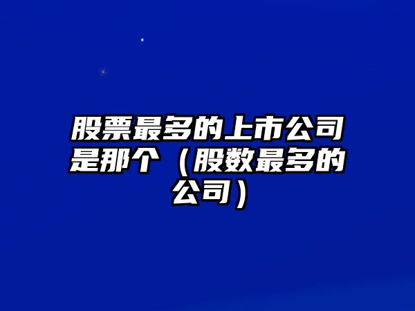 股票最多的上市公司是那個(gè)（股數最多的公司）