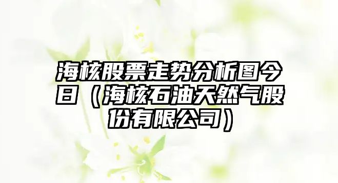 海核股票走勢分析圖今日（海核石油天然氣股份有限公司）