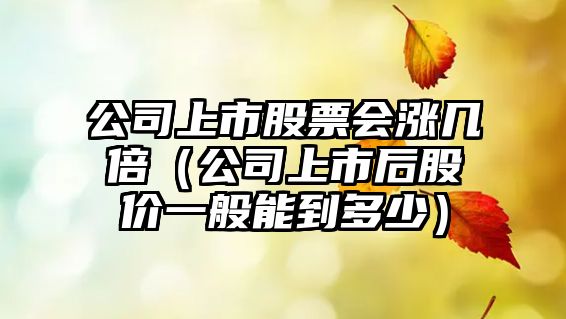 公司上市股票會(huì )漲幾倍（公司上市后股價(jià)一般能到多少）