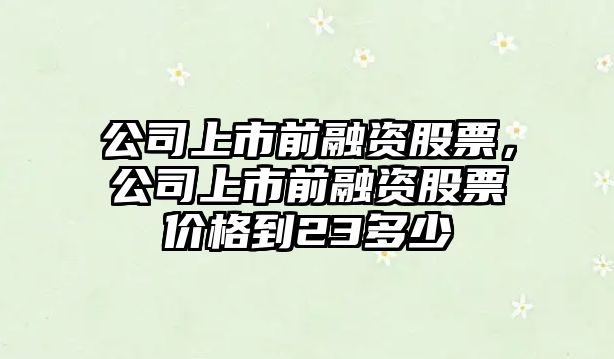 公司上市前融資股票，公司上市前融資股票價(jià)格到23多少