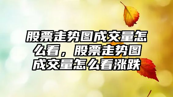 股票走勢圖成交量怎么看，股票走勢圖成交量怎么看漲跌