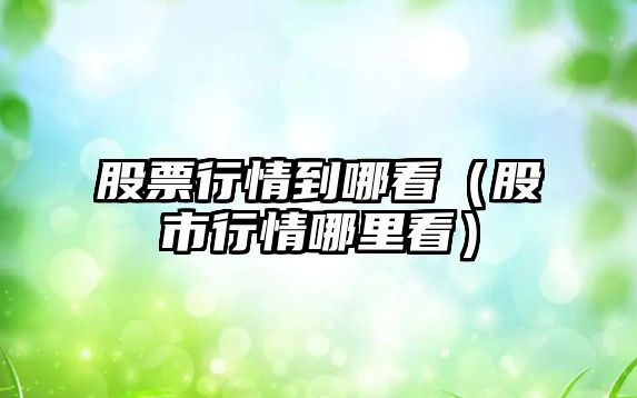 股票行情到哪看（股市行情哪里看）