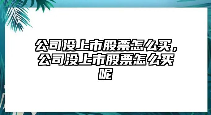 公司沒(méi)上市股票怎么買(mǎi)，公司沒(méi)上市股票怎么買(mǎi)呢