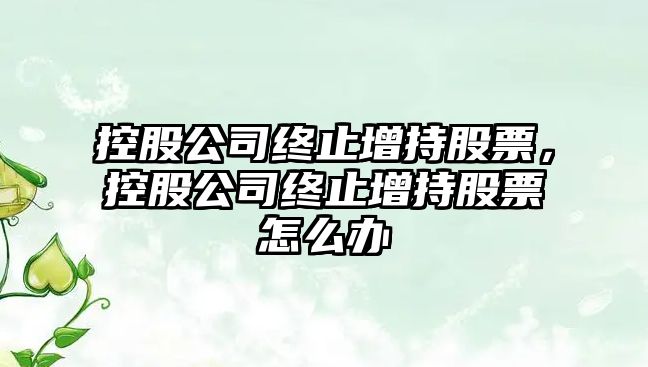 控股公司終止增持股票，控股公司終止增持股票怎么辦