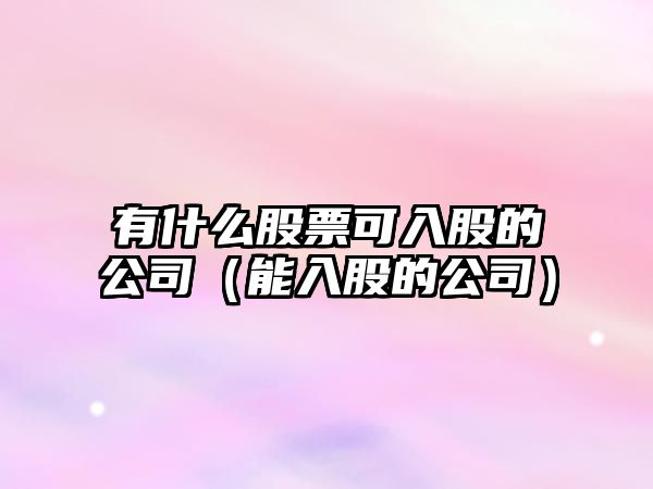 有什么股票可入股的公司（能入股的公司）