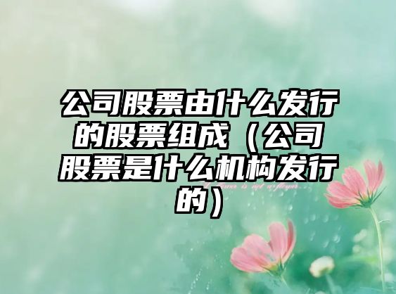 公司股票由什么發(fā)行的股票組成（公司股票是什么機構發(fā)行的）