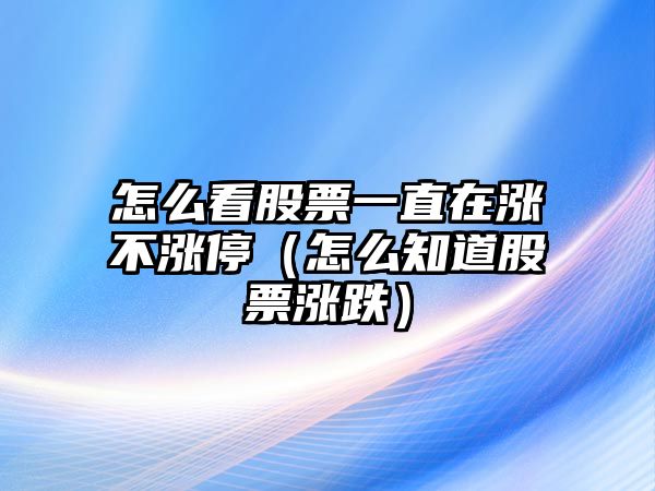 怎么看股票一直在漲不漲停（怎么知道股票漲跌）