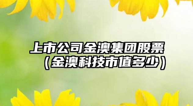 上市公司金澳集團股票（金澳科技市值多少）