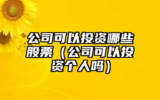 公司可以投資哪些股票（公司可以投資個(gè)人嗎）