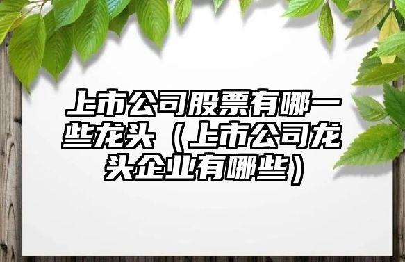 上市公司股票有哪一些龍頭（上市公司龍頭企業(yè)有哪些）