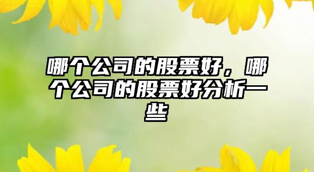 哪個(gè)公司的股票好，哪個(gè)公司的股票好分析一些