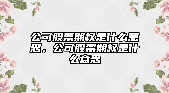 公司股票期權是什么意思，公司股票期權是什么意思