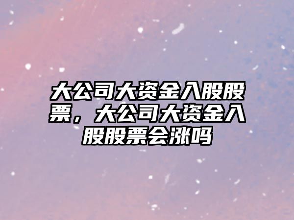 大公司大資金入股股票，大公司大資金入股股票會(huì )漲嗎