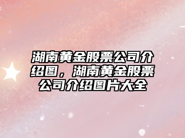 湖南黃金股票公司介紹圖，湖南黃金股票公司介紹圖片大全