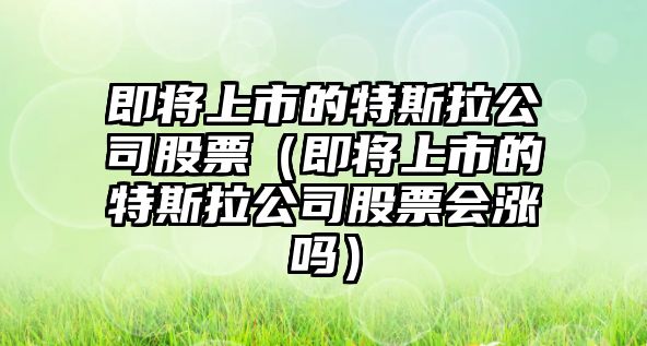 即將上市的特斯拉公司股票（即將上市的特斯拉公司股票會(huì )漲嗎）