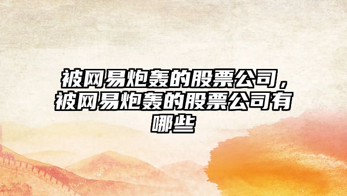 被網(wǎng)易炮轟的股票公司，被網(wǎng)易炮轟的股票公司有哪些