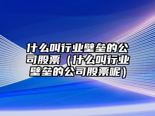 什么叫行業(yè)壁壘的公司股票（什么叫行業(yè)壁壘的公司股票呢）