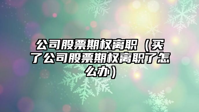 公司股票期權離職（買(mǎi)了公司股票期權離職了怎么辦）