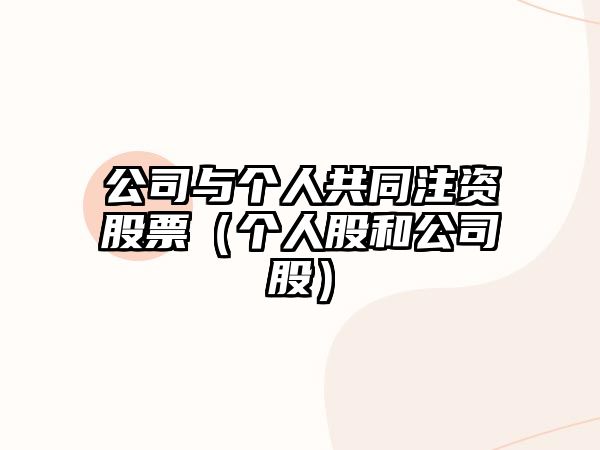 公司與個(gè)人共同注資股票（個(gè)人股和公司股）