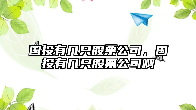 國投有幾只股票公司，國投有幾只股票公司啊