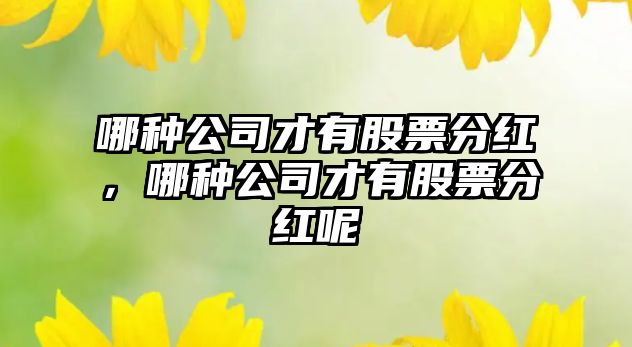 哪種公司才有股票分紅，哪種公司才有股票分紅呢