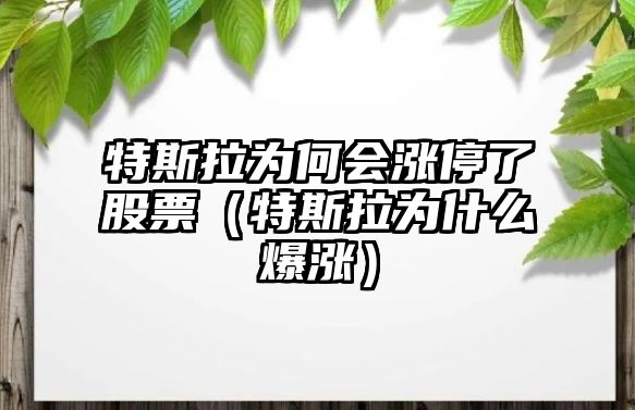 特斯拉為何會(huì )漲停了股票（特斯拉為什么爆漲）