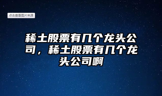 稀土股票有幾個(gè)龍頭公司，稀土股票有幾個(gè)龍頭公司啊