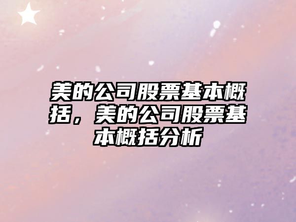 美的公司股票基本概括，美的公司股票基本概括分析