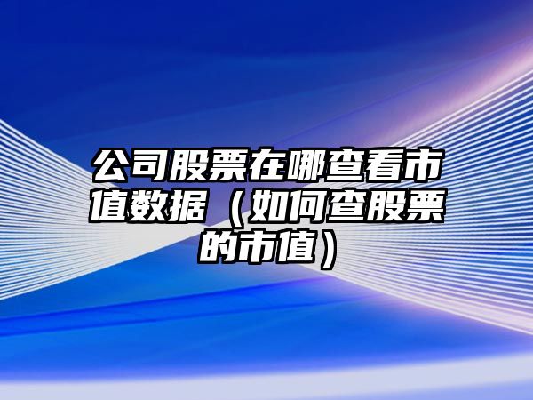 公司股票在哪查看市值數據（如何查股票的市值）