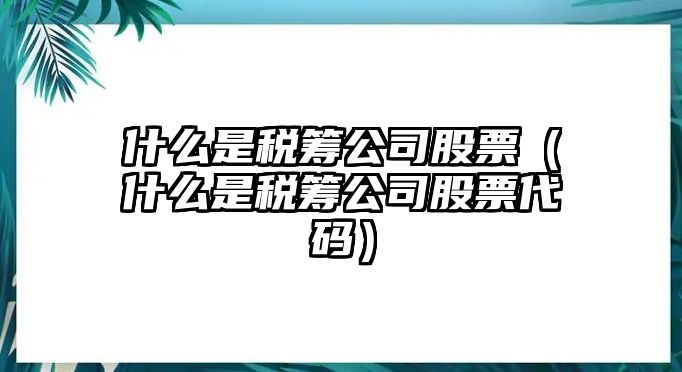 什么是稅籌公司股票（什么是稅籌公司股票代碼）