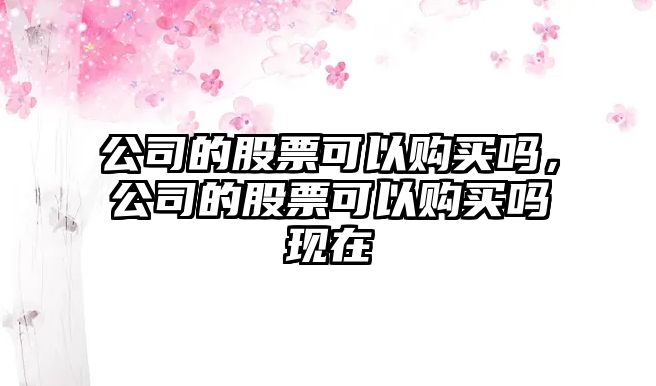 公司的股票可以購買(mǎi)嗎，公司的股票可以購買(mǎi)嗎現在