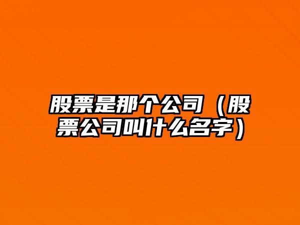 股票是那個(gè)公司（股票公司叫什么名字）