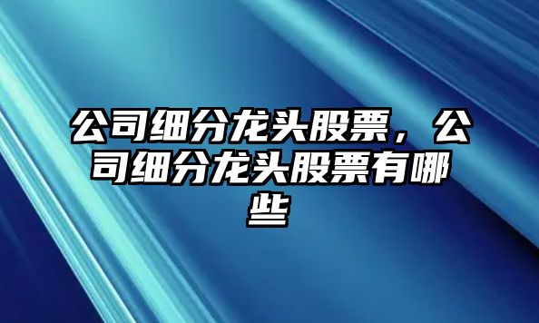 公司細分龍頭股票，公司細分龍頭股票有哪些