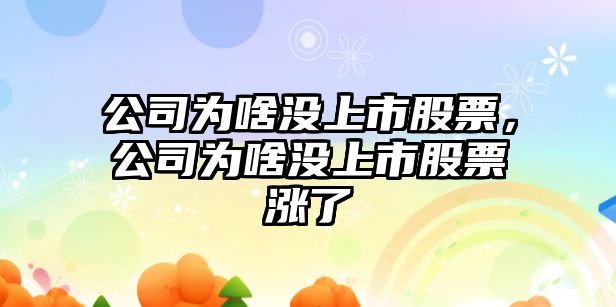 公司為啥沒(méi)上市股票，公司為啥沒(méi)上市股票漲了