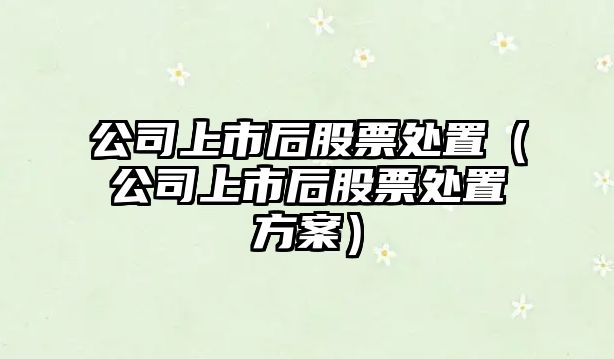 公司上市后股票處置（公司上市后股票處置方案）