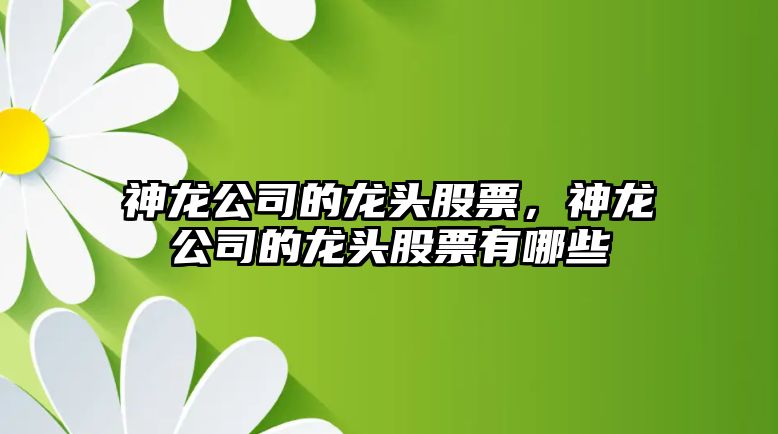 神龍公司的龍頭股票，神龍公司的龍頭股票有哪些