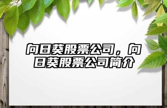 向日葵股票公司，向日葵股票公司簡(jiǎn)介