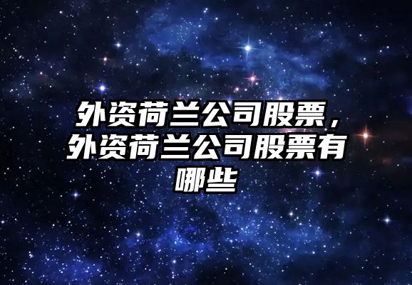 外資荷蘭公司股票，外資荷蘭公司股票有哪些