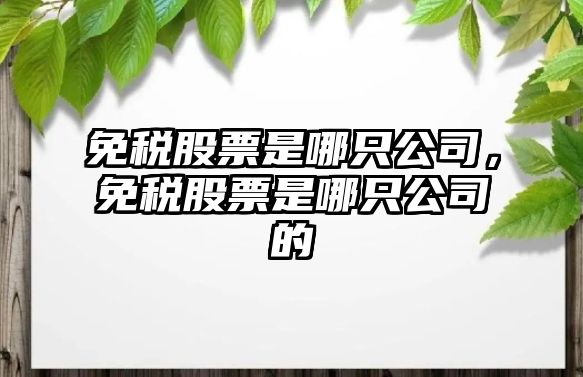 免稅股票是哪只公司，免稅股票是哪只公司的