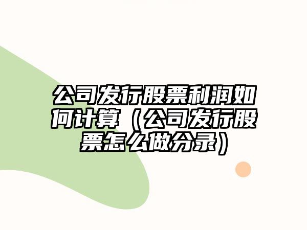 公司發(fā)行股票利潤如何計算（公司發(fā)行股票怎么做分錄）