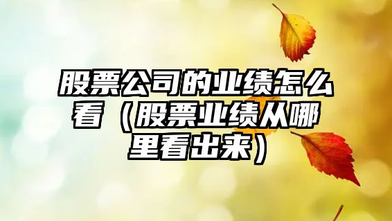 股票公司的業(yè)績(jì)怎么看（股票業(yè)績(jì)從哪里看出來(lái)）