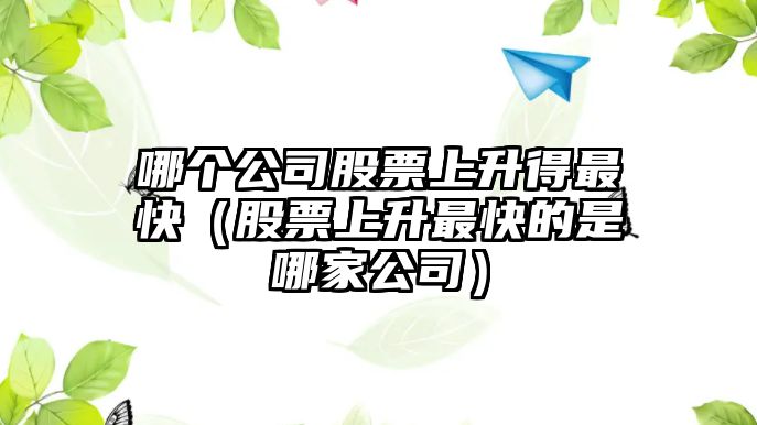 哪個(gè)公司股票上升得最快（股票上升最快的是哪家公司）