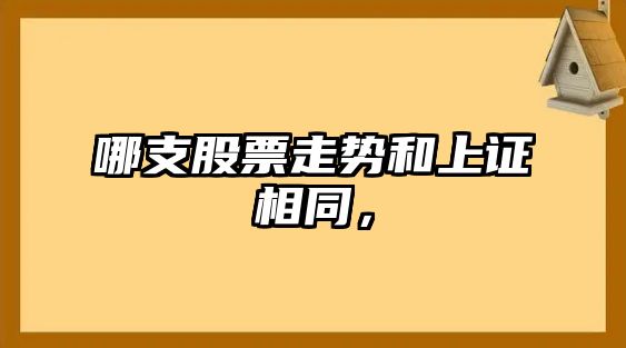 哪支股票走勢和上證相同，