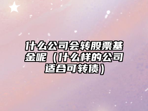 什么公司會(huì )轉股票基金呢（什么樣的公司適合可轉債）