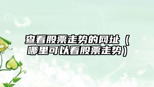 查看股票走勢的網(wǎng)址（哪里可以看股票走勢）