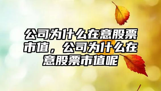 公司為什么在意股票市值，公司為什么在意股票市值呢